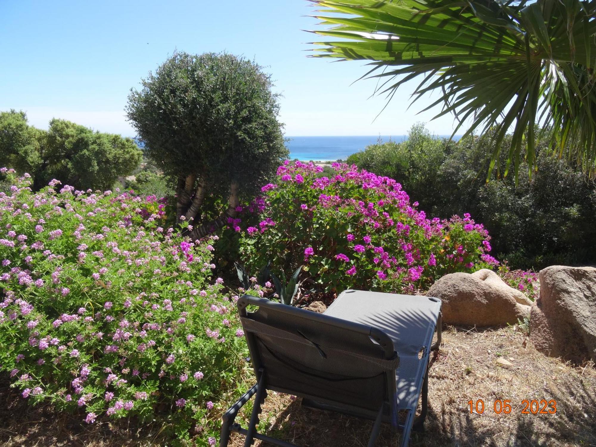 Villa Independante 2/5 Personnes - Palombaggia Vue Mer Magnifique Porto Vecchio Eksteriør billede